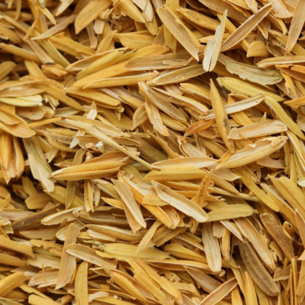 Rice Husk